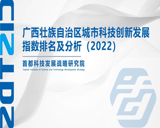 美女日B【成果发布】广西壮族自治区城市科技创新发展指数排名及分析（2022）